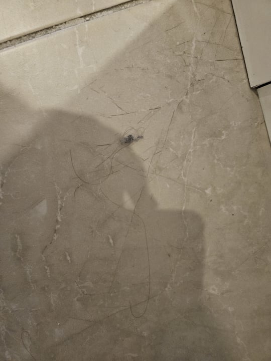 Zimmer Well Palace Side