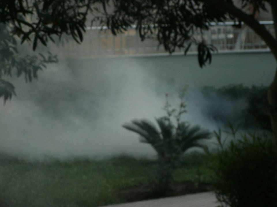 Gartenanlage Hotel Sirma