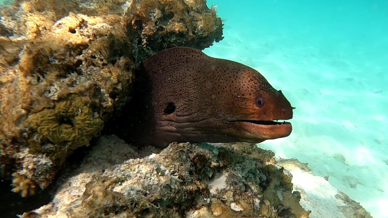 Sport & Freizeit Cinnamon Dhonveli Maldives