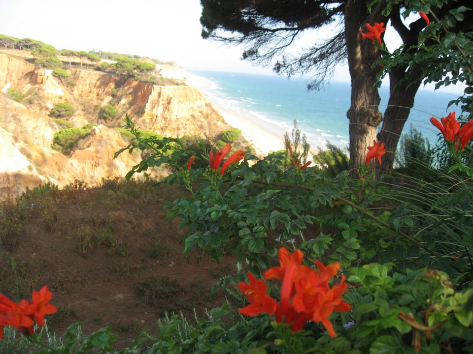 Traumhafte Ausblicke PortoBay Falésia