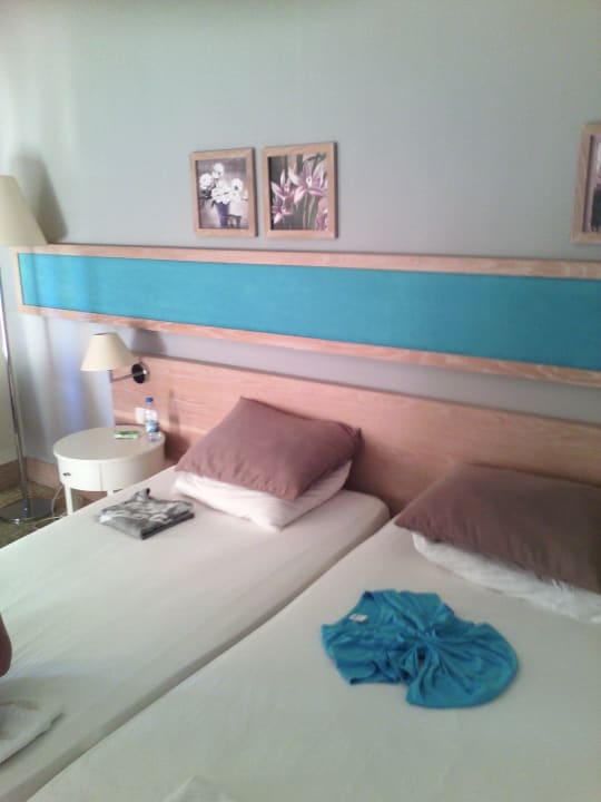 Zimmer Asteria Collection Side
