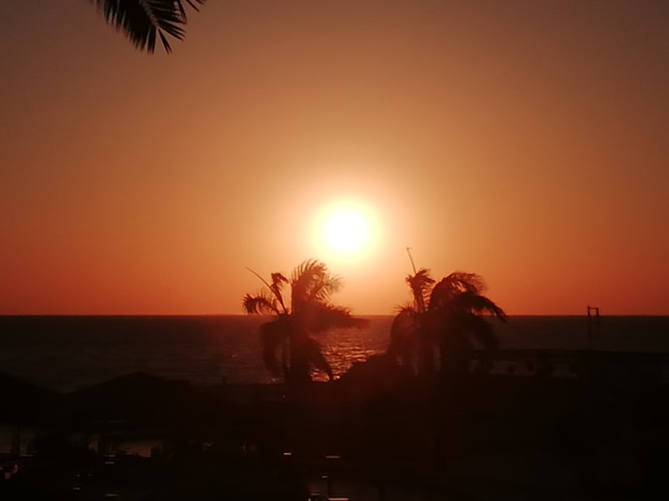 Ausblick Palm Beach Resort