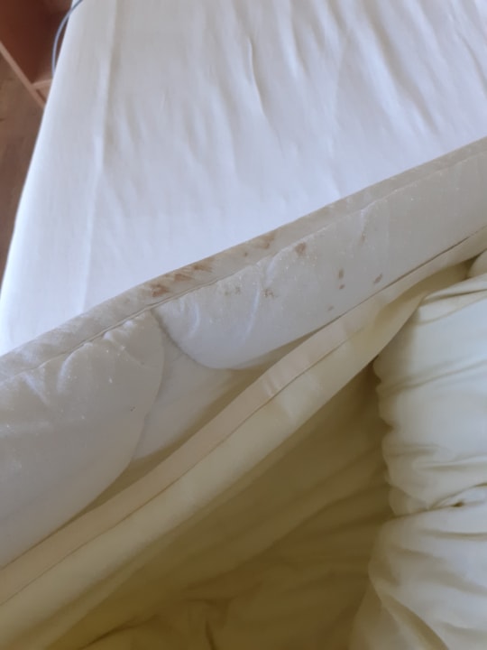 Zimmer Ferienwohnungen Ferienpark Weissenhäuser Strand