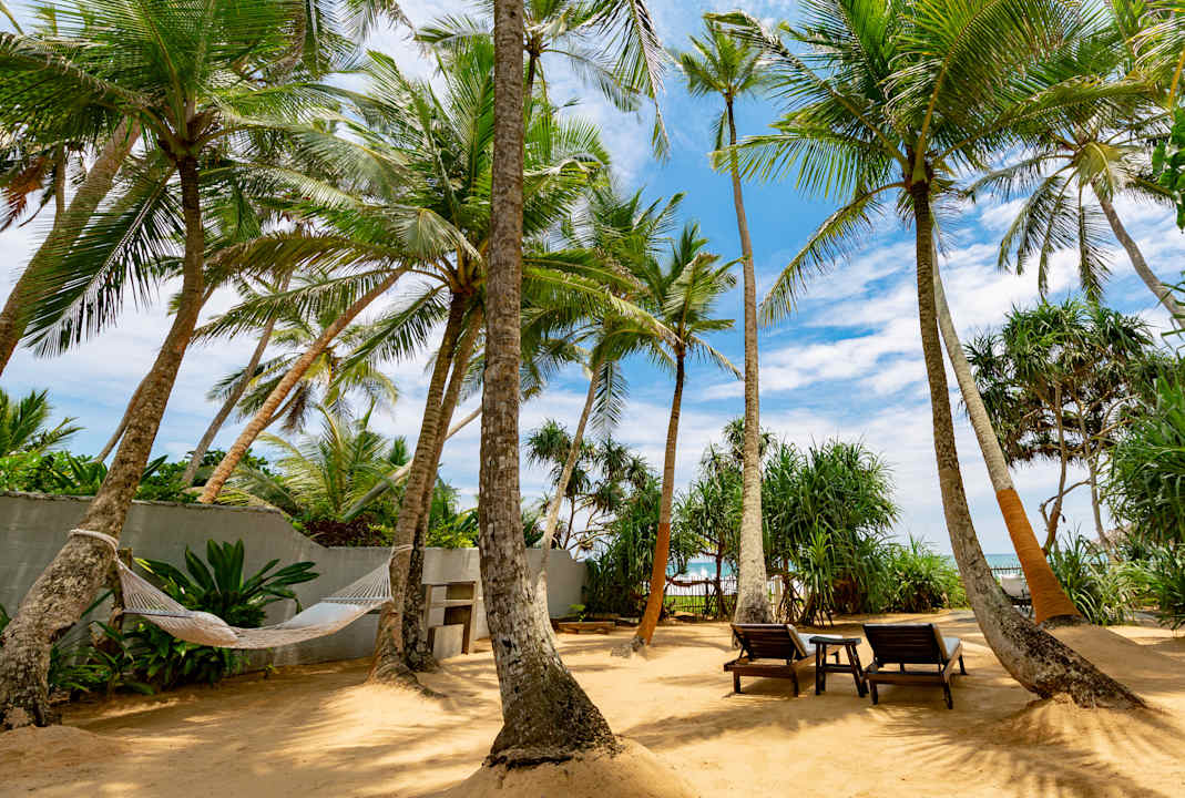 Gartenanlage Taru Villas, 906- Hikkaduwa