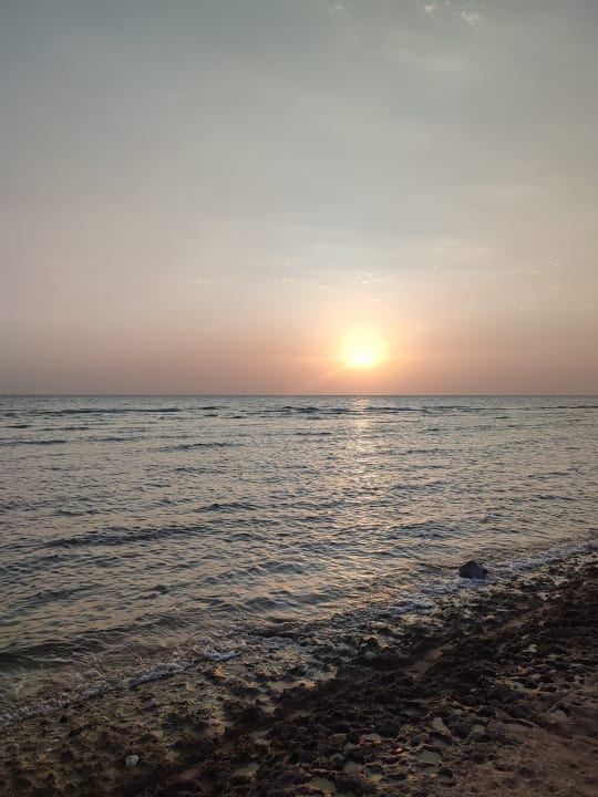 Strand Serenity Alpha Beach