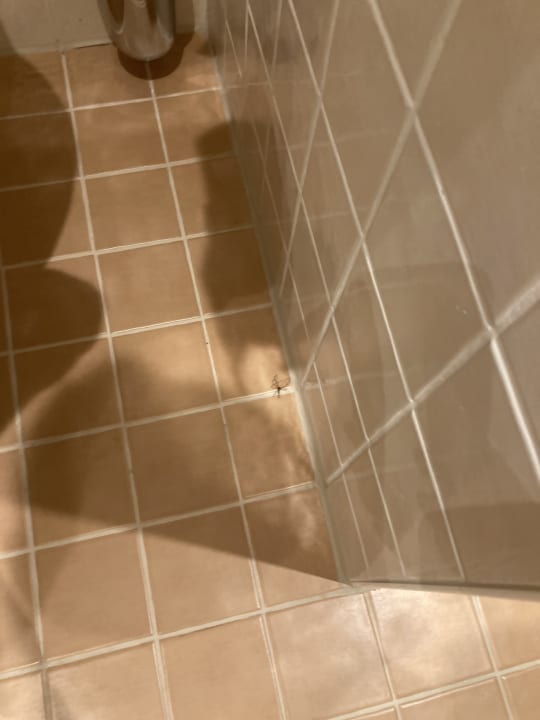 Zimmer Mercure Muenchen Ost Messe