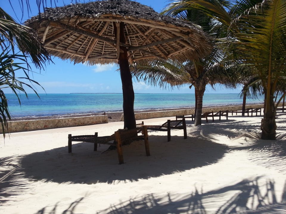 Strand leider voller Seegras Jaz Adonia Beach Resort