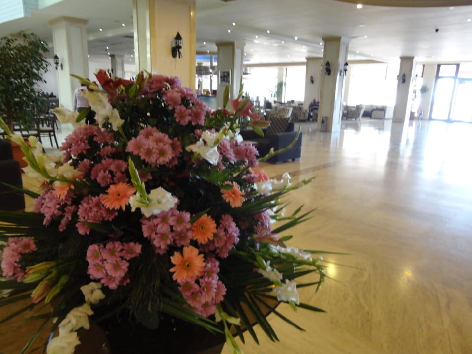 Hol Salamis Bay Conti Resort Hotel & Casino