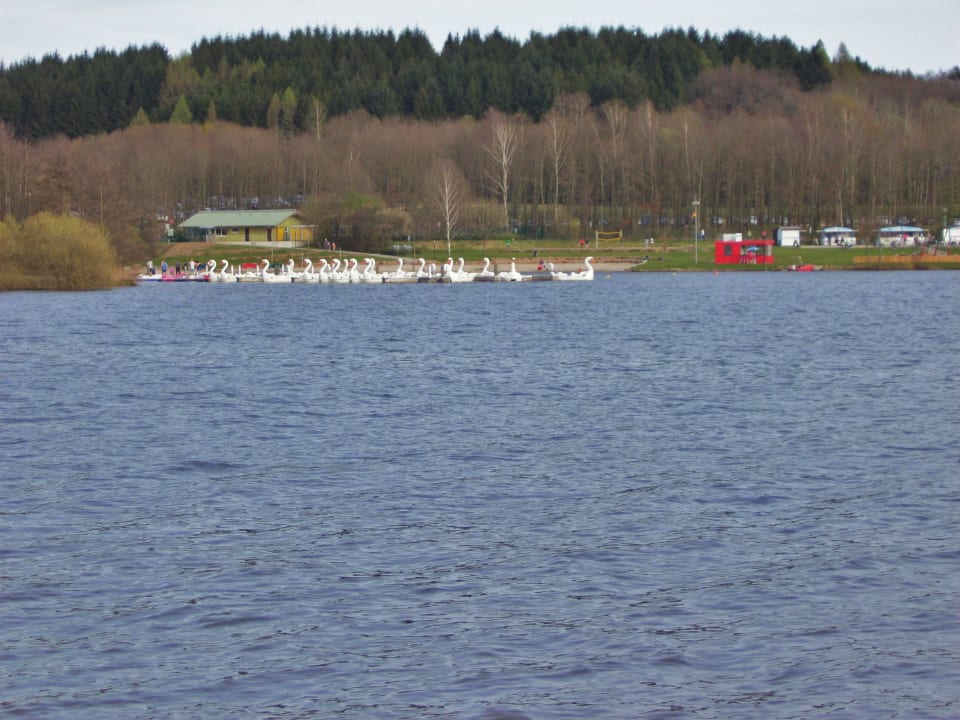 Bostalsee Center Parcs Park Bostalsee