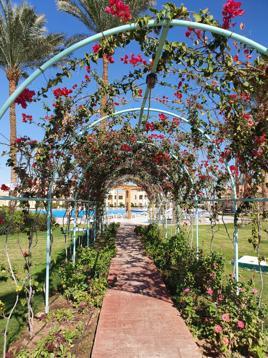 Gartenanlage Cleopatra Luxury Resort Makadi Bay