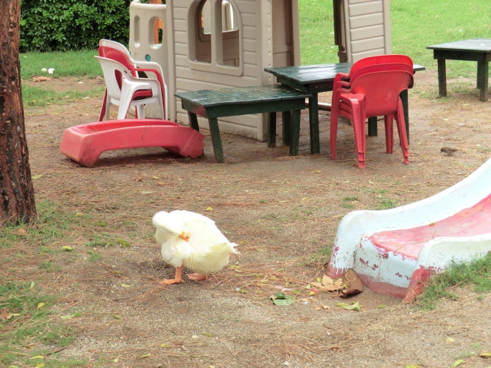 Kinderspielplatz MC Beach Park Resort Hotel