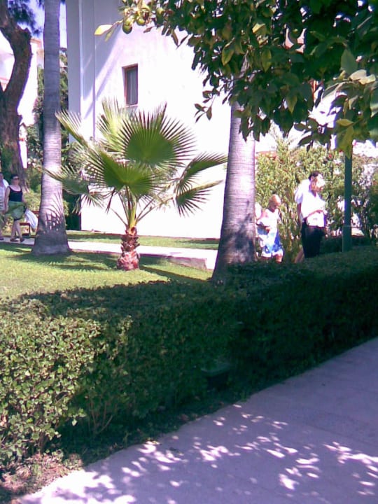 Antik Garden Antik Garden