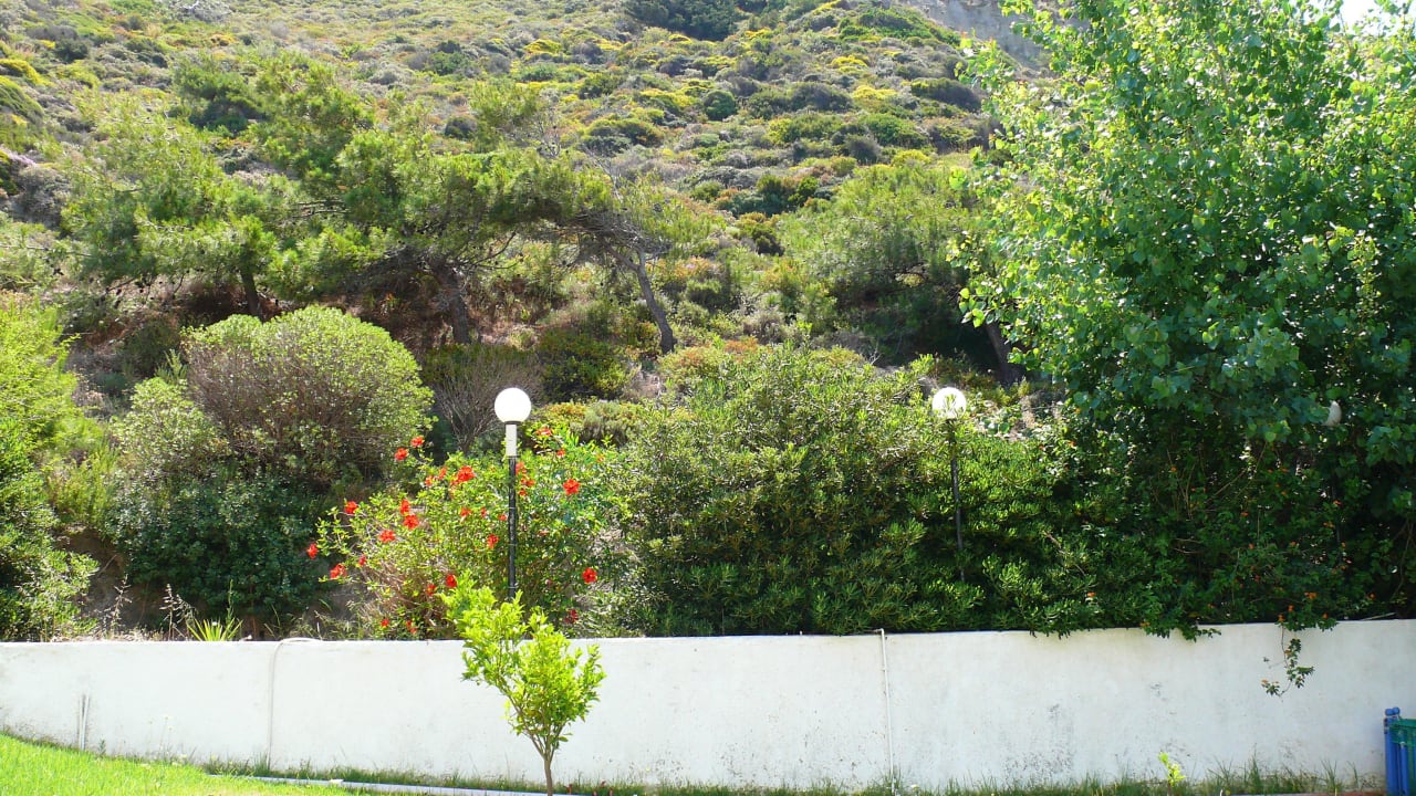 Widok(niestety) z pokoi od strony wzgórza(parter) Hotel Sirene Beach