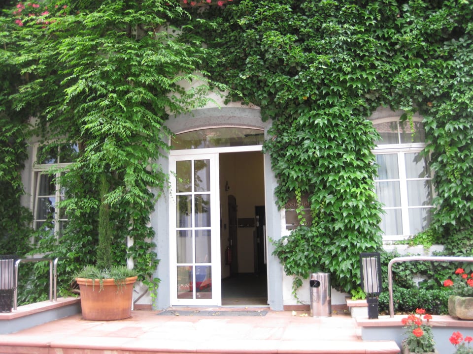 Zugang zu den Zimmern Hotel Domhof