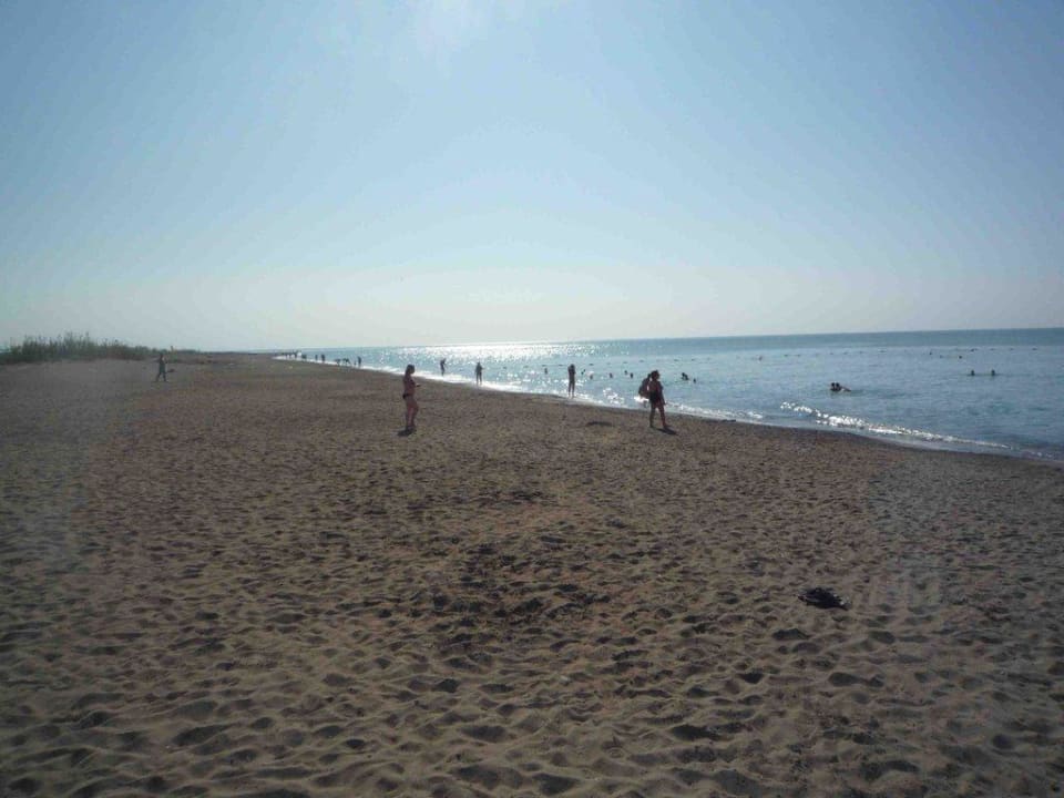 Strand Crystal Paraiso Aqua Collection