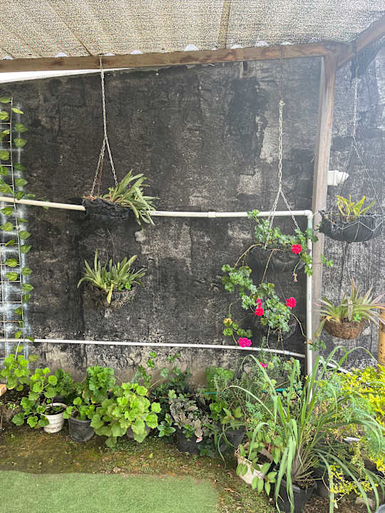 Gartenanlage Hospedaje Vista Hermosa Salento