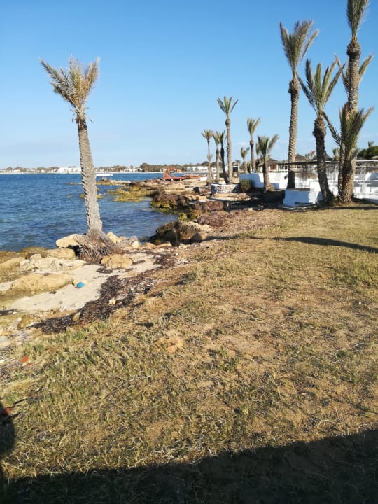 Strand Hotel El Mouradi Djerba Menzel