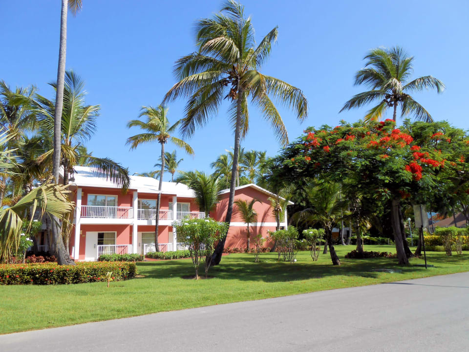 Zimmer  Hotel Grand Palladium Palace Resort, Spa & Casino