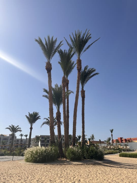 Strand Serry Beach Resort