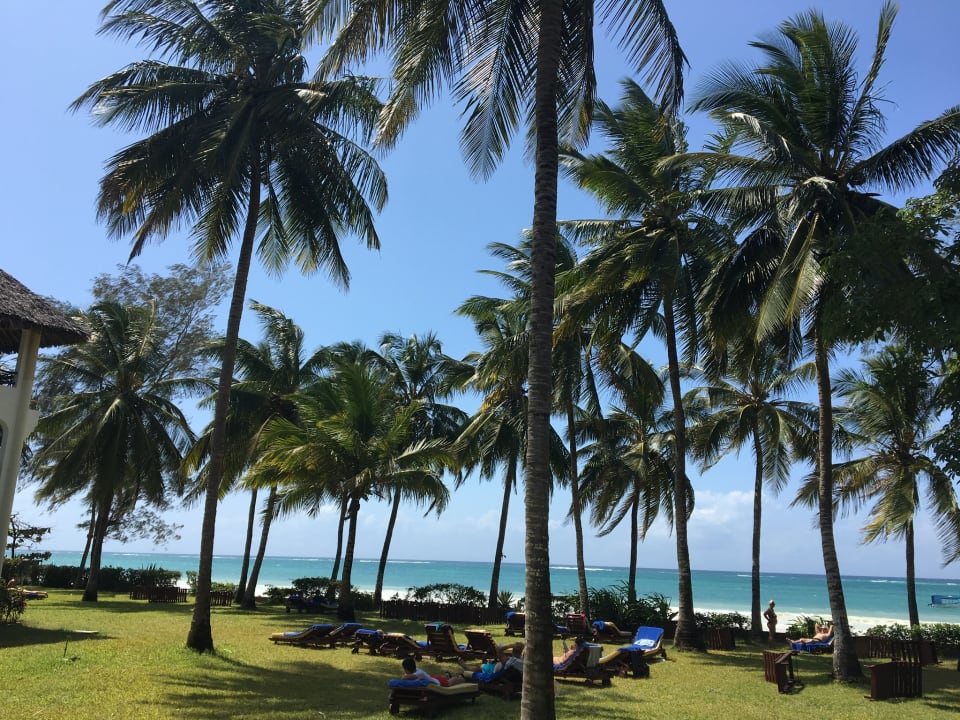 Gartenanlage Hotel Papillon Lagoon Reef