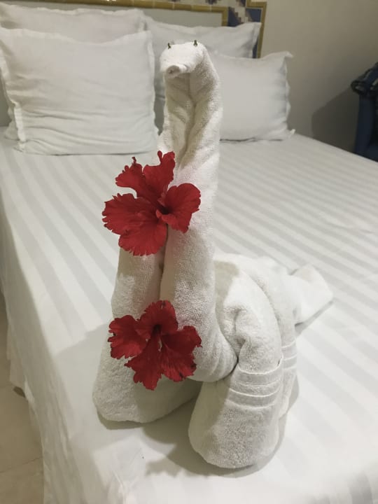 Zimmer Viva Azteca by Wyndham - All Inclusive Resort