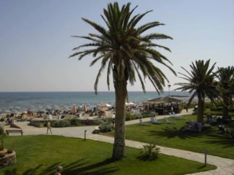 Garten mit Blick zum Strand Calimera Sirens Beach