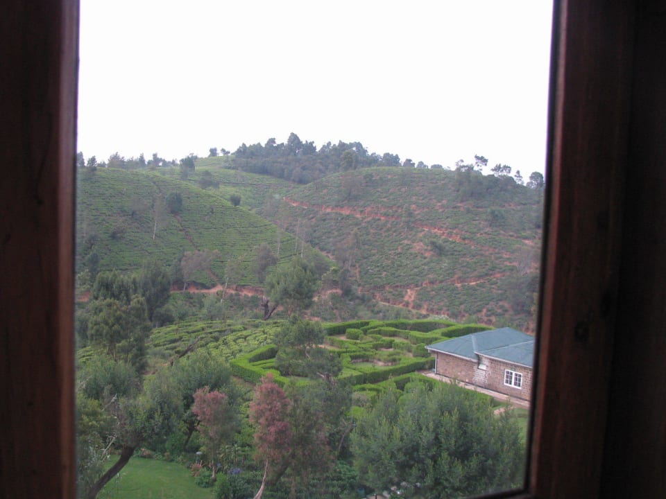 Blick von unserem Zimmer Heritance Tea Factory