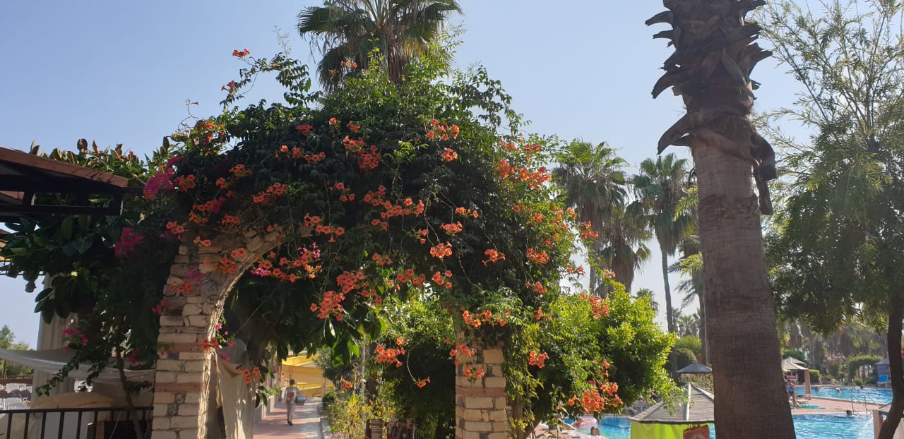 Gartenanlage Hotel Defne Garden