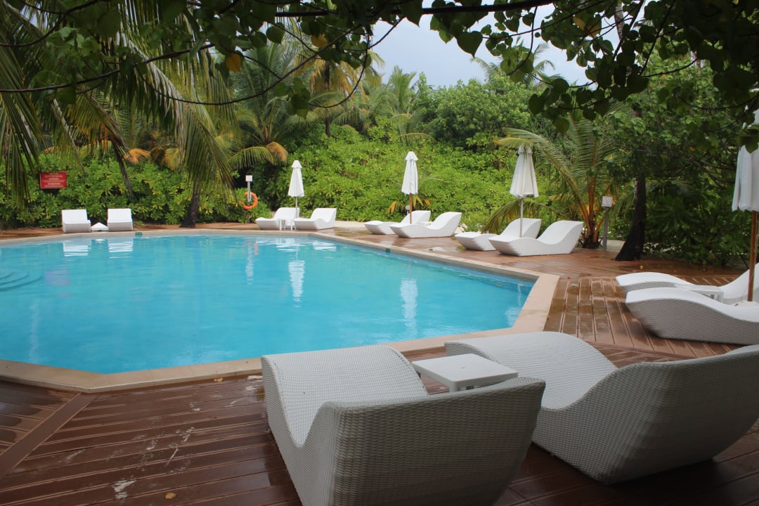 Pool Safari Island Maldives