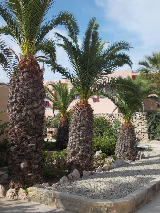 Bungalowanlage Comino Hotel & Bungalows