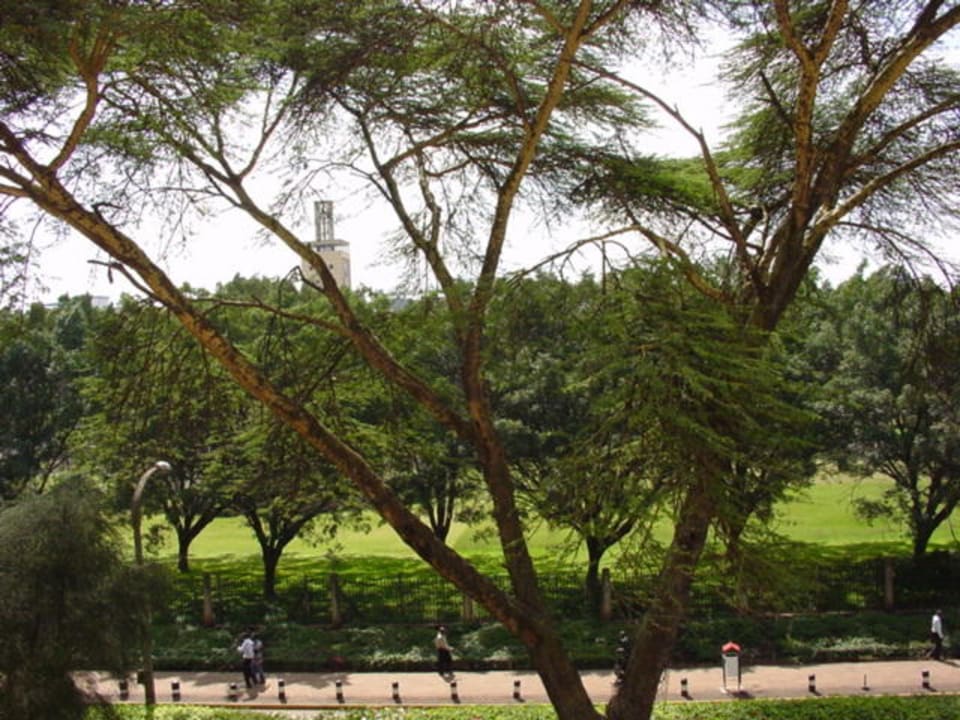 Blick aus dem Hotelzimmer Hotel InterContinental Nairobi