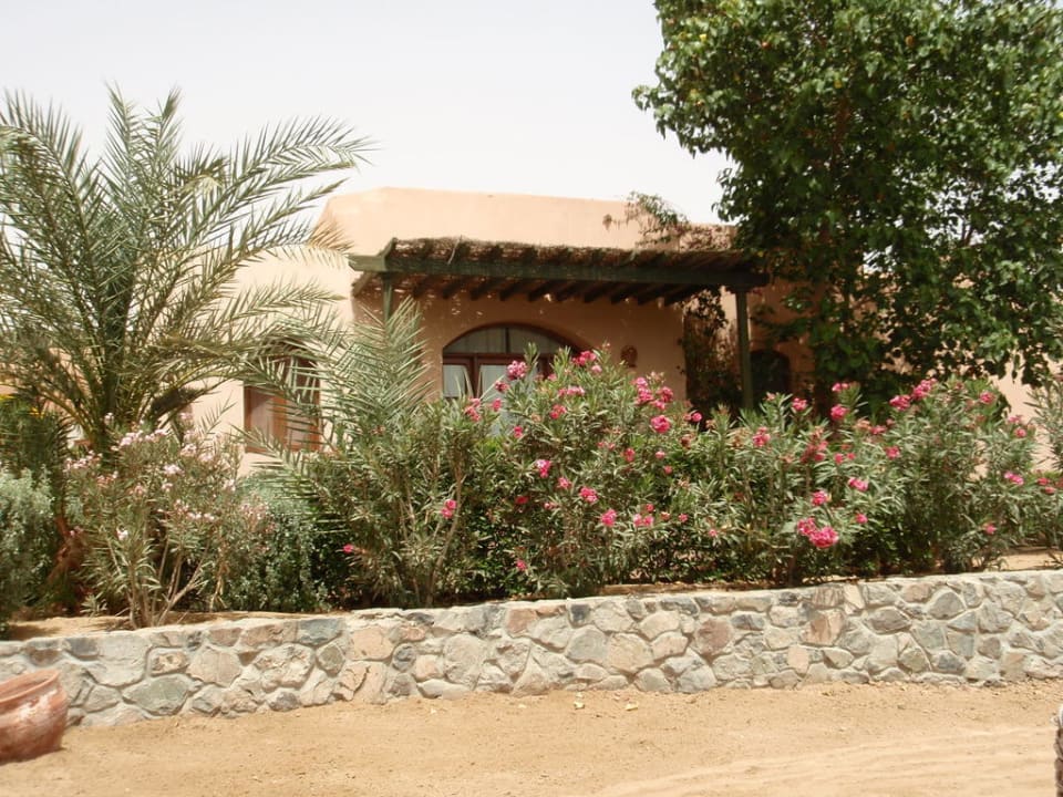 Zimmer an der Lagune Three Corners Rihana Resort Deluxe