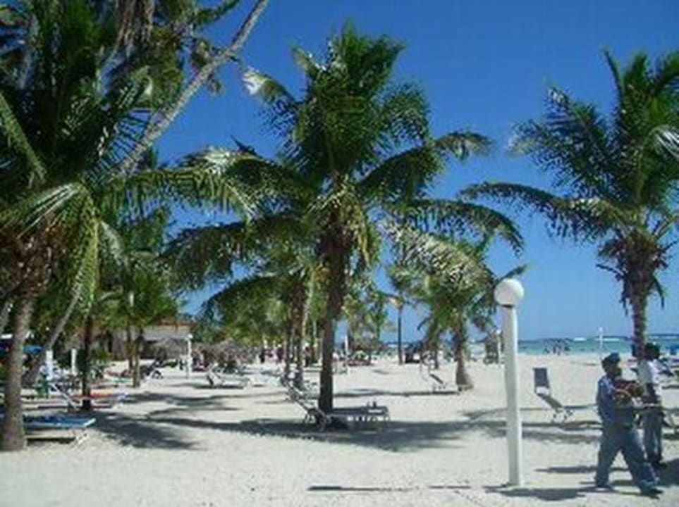 Strand whala!boca chica