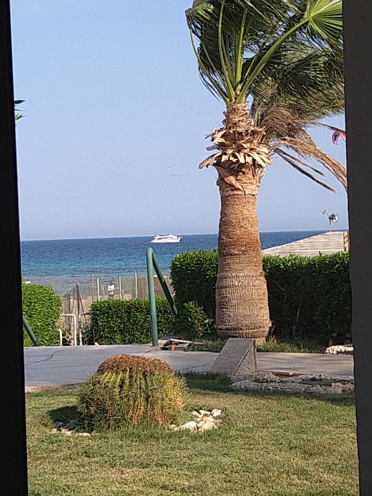 Ausblick Shams Prestige Abu Soma-Adults Only