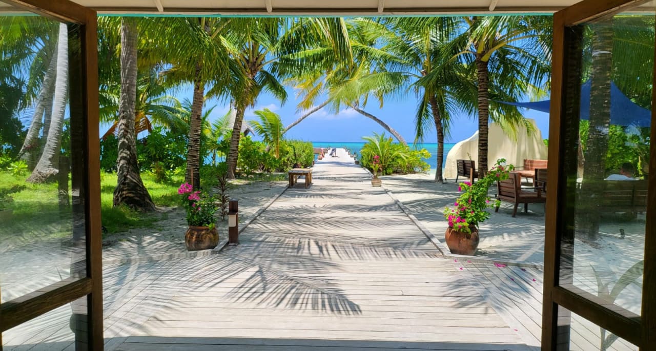 Lobby Canareef Resort Maldives