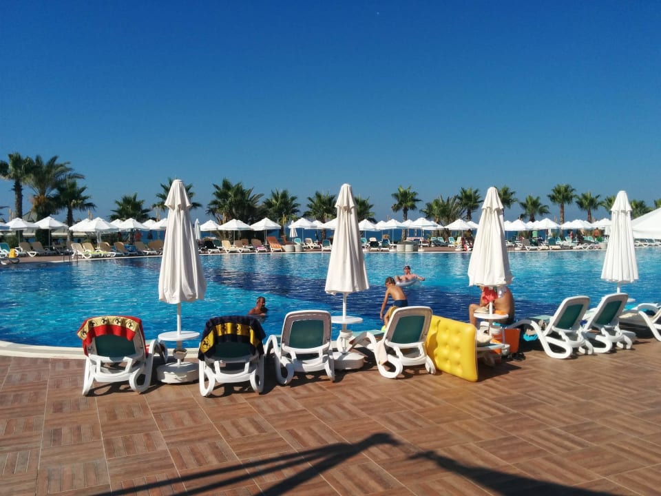 Beach side animation pool Paloma Oceana