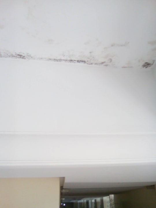 Decke Hotel Rosa Beach