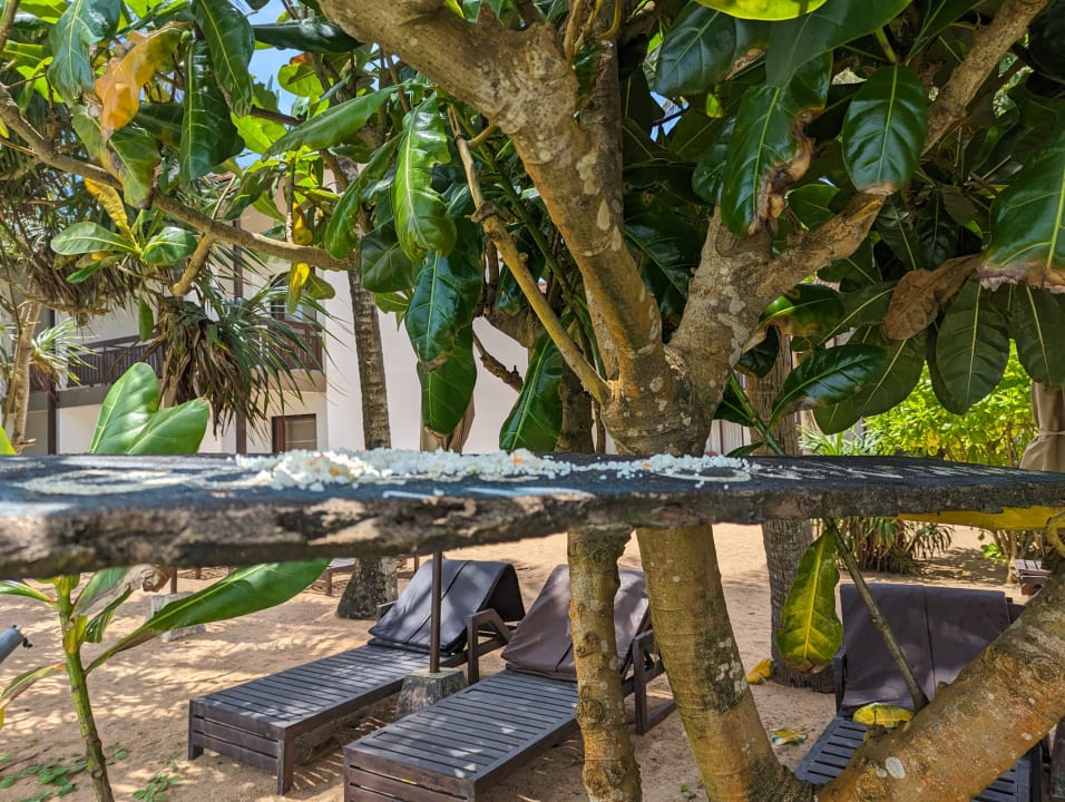 Pool Pandanus Beach Resort & Spa