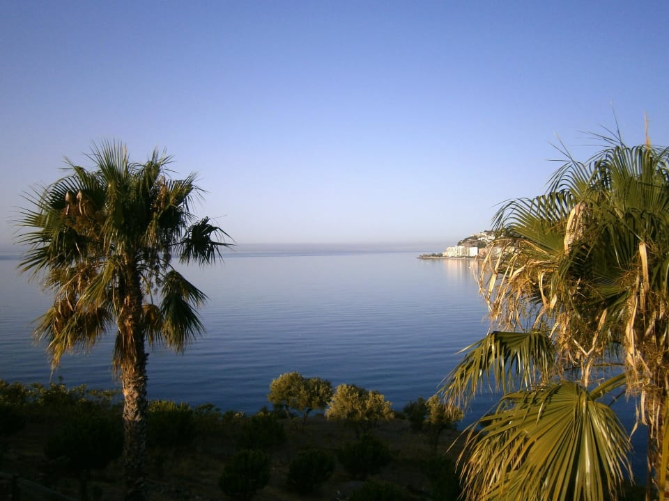 Ogród Playacálida Hotel
