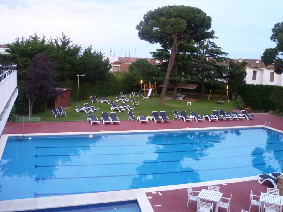 Der Pool ist cool! Hotel Alga