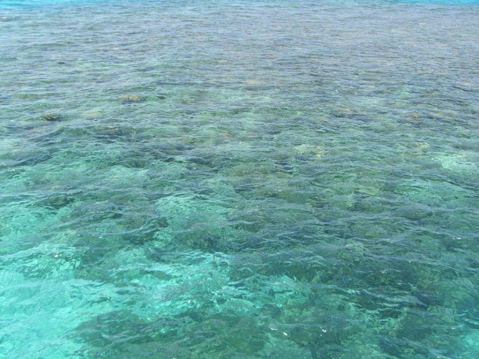 Korallenriff Pickalbatros Alf Leila Wa Leila Resort - Neverland Hurghada