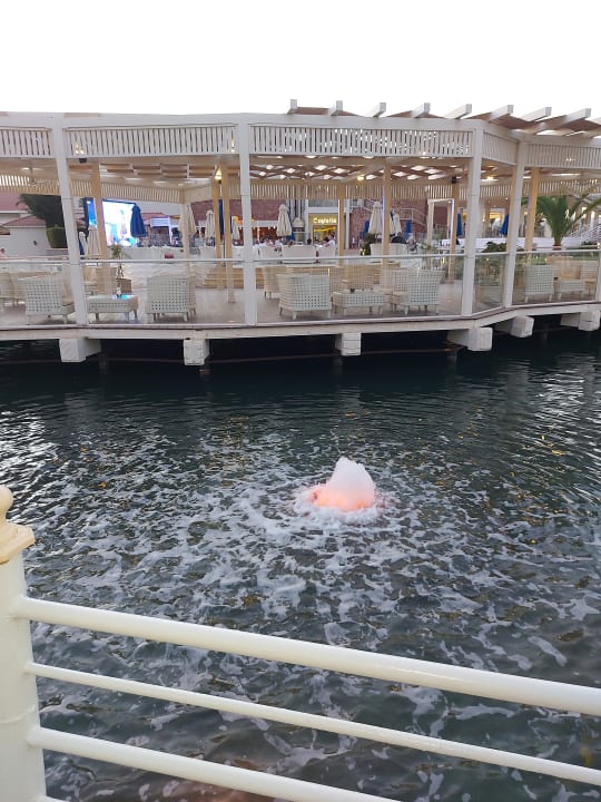 Gastro Pickalbatros Dana Beach Resort - Hurghada