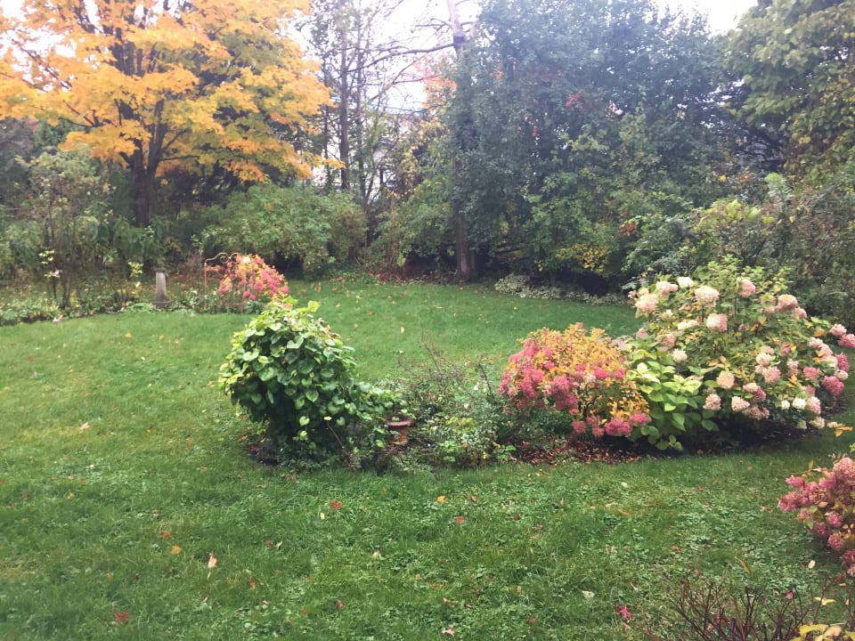 Gartenanlage B&B MacKechnie House