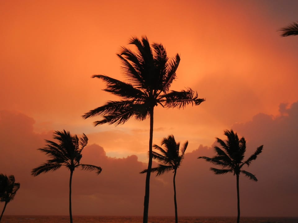 Sonnenaufgang Secrets Royal Beach Punta Cana - Adults only