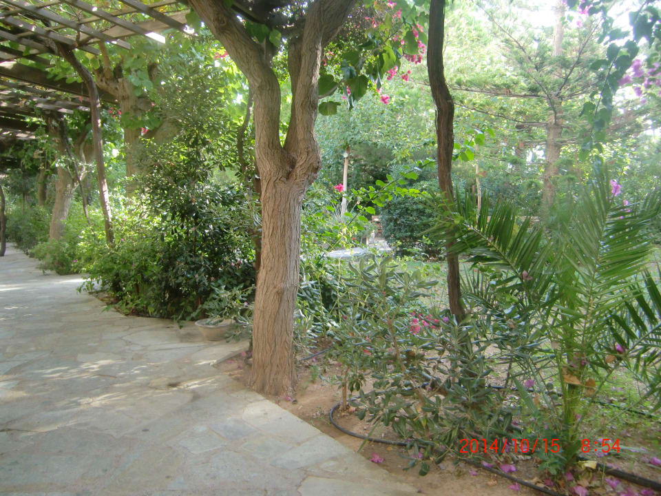 Gartenweg Apollonia Beach Resort & Spa