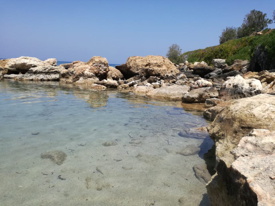 Strand Crystal Springs Beach Hotel