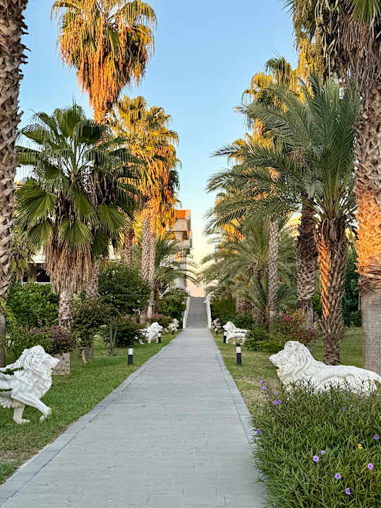 Gartenanlage Hotel Defne Kumul Deluxe