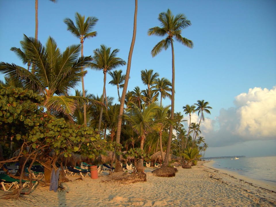 Hotel Grand Palladium Palace Resort, Spa & Casino Hotel Grand Palladium Palace Resort, Spa & Casino