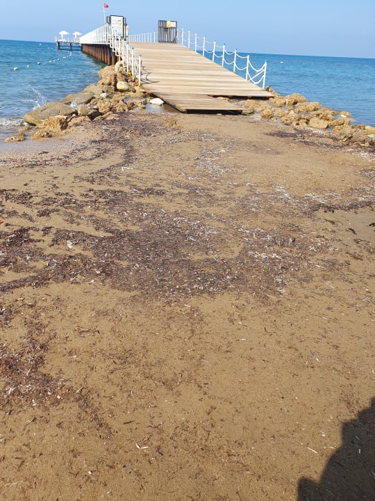 Strand PALOMA Perissia