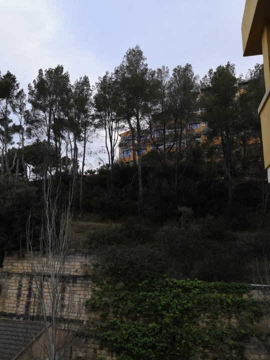 Ausblick FLOR los Almendros Hotel